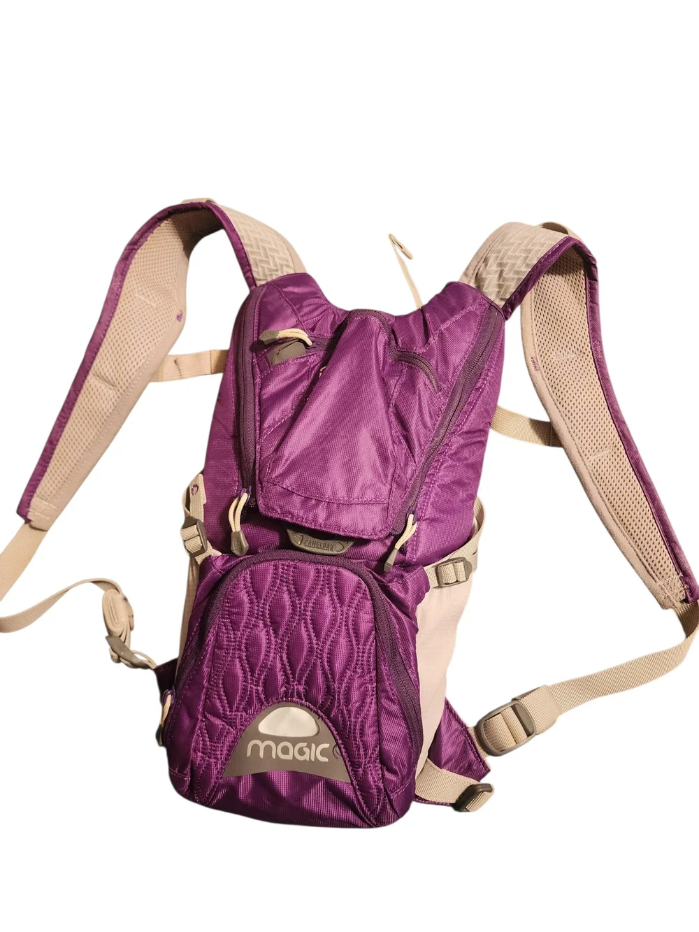 Camelbak Purple and Beige Daypack